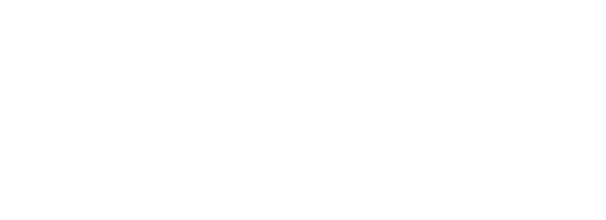 ppp-logo-white